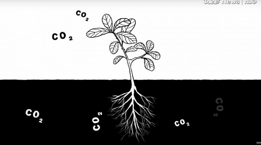 Farmen som odlar bort klimathotet